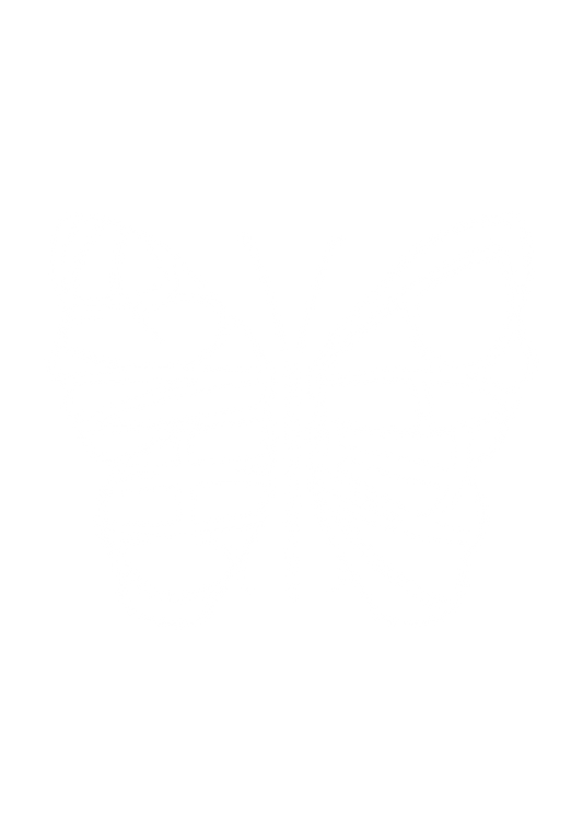 Butterfly Hooded Tee