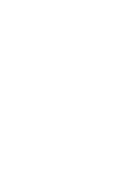 Butterfly Hooded Tee